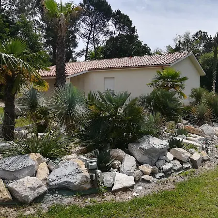 ホテル L'hotel Du 3*